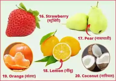 20 fruits name in english and hindi