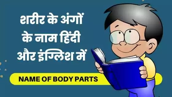 body parts name in english and hindi